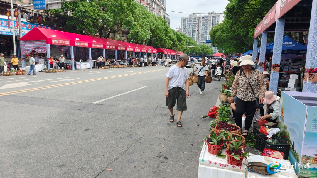 【第十四届靖州杨梅节】梅香满街头 2026年靖州杨梅交易市场购销忙