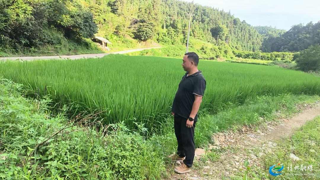 大堡子镇：逐块核实抛荒图斑 坚决守牢耕地红线