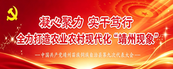 【专题】中国共产党靖州苗族侗族自治县第九次代表大会