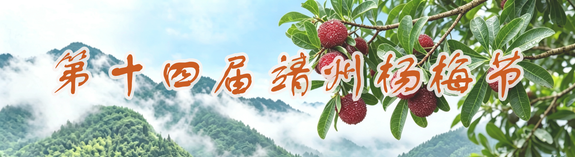 【专题】第十四届靖州杨梅节