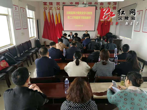 县审计局开展党史学习教育第二次专题学习