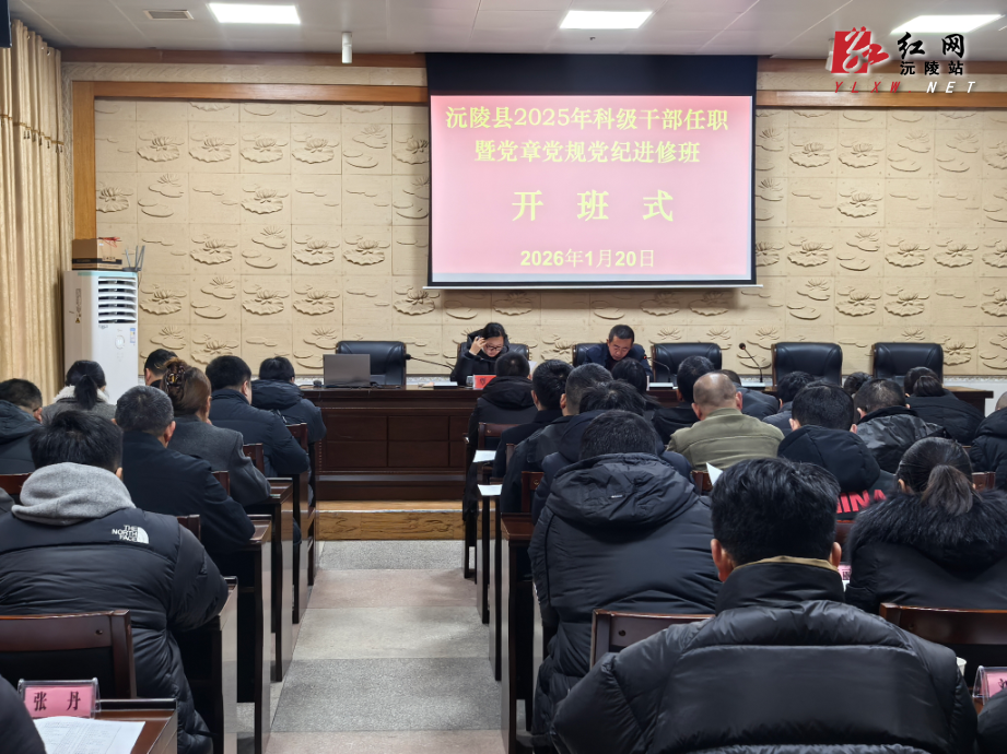 沅陵：素质拓展让青年干部“燃”起来