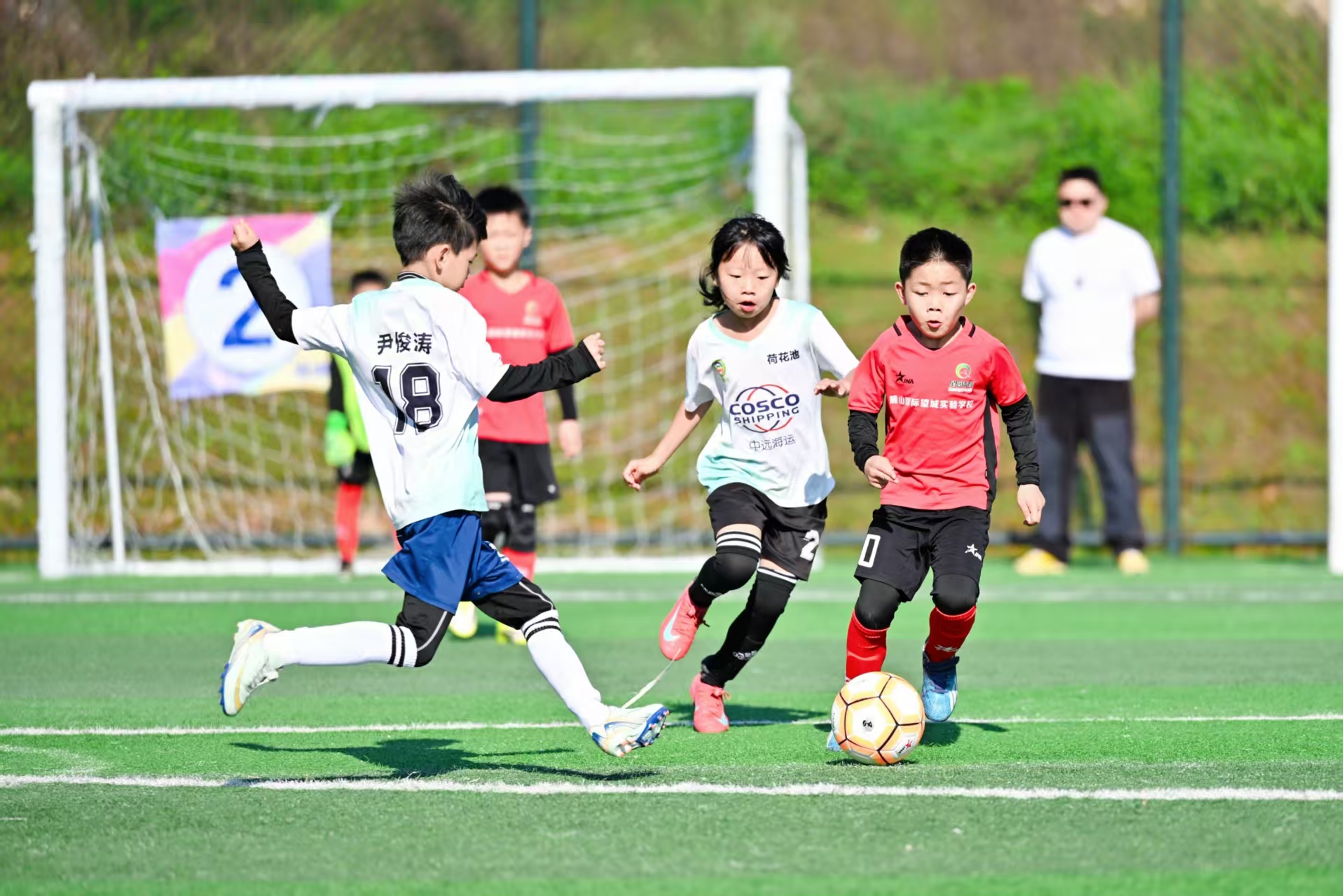 微信图片_20260508112451_144_13.jpg
