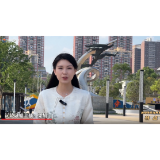 沅陵传统龙舟特点