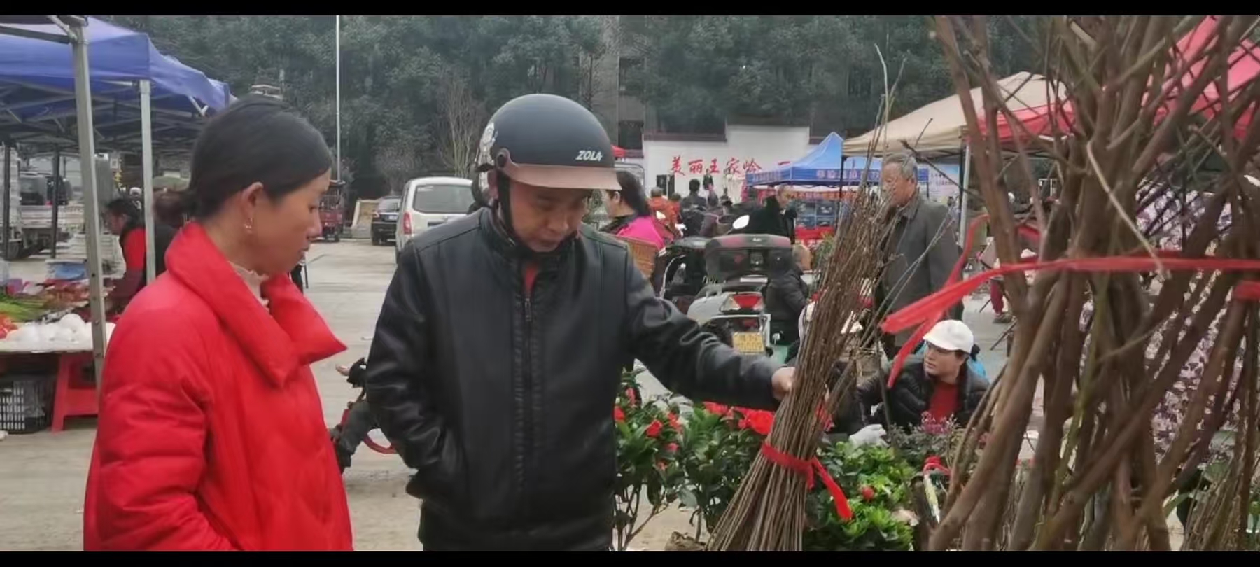 微信图片_20250312095721.jpg