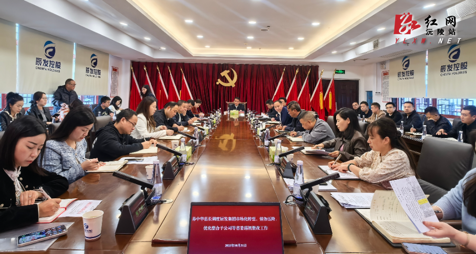 易中华调度辰发集团落实省委巡视反馈意见整改工作推进情况