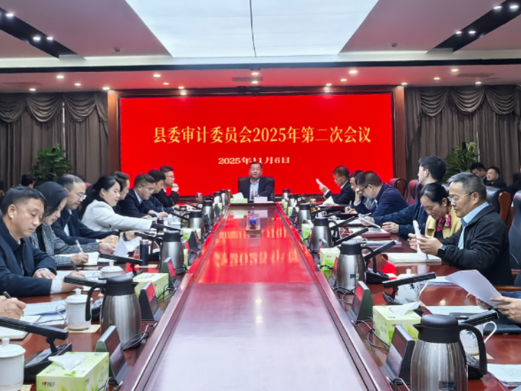刘向阳主持召开县委审计委员会2025 年第二次会议