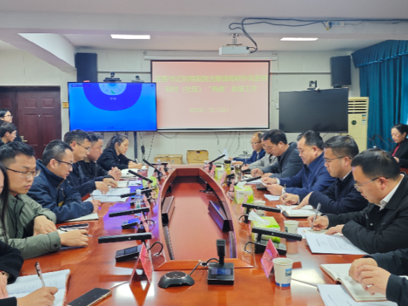 刘向阳到沅陵镇调研指导作风整顿 村（社区）“两委”换届和安全生产工作