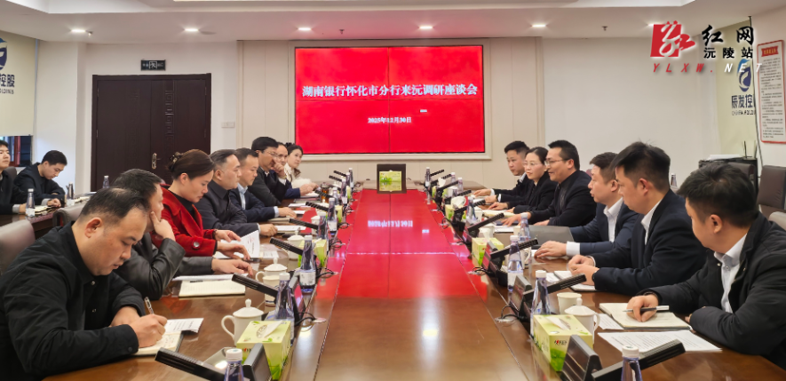 湖南银行怀化市分行赴沅陵开展政银企合作调研 共商高质量发展大计