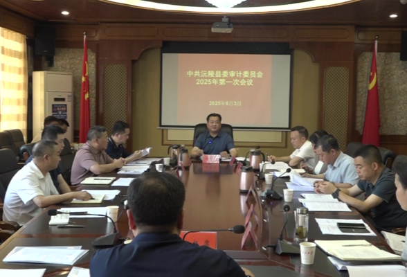 刘向阳主持召开2025年县委审计委员会第一次会议