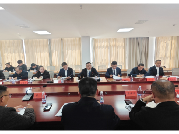 陈星参加县委十三届九次全会暨县委经济工作会议讨论组讨论