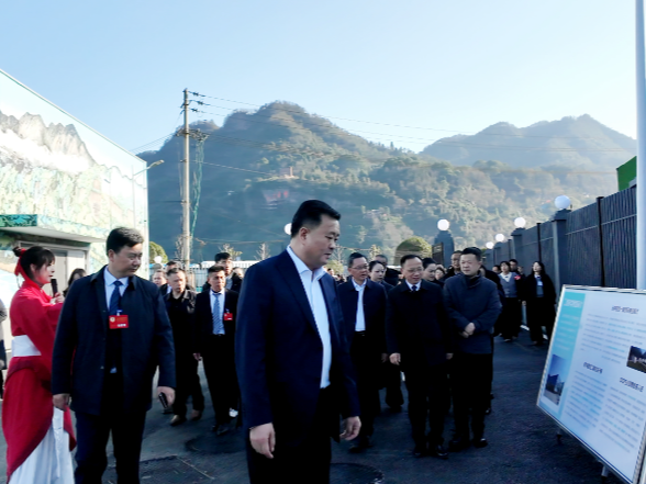 【两会进行时】沅陵县人大代表 政协委员集中视察 感受县域发展新成效