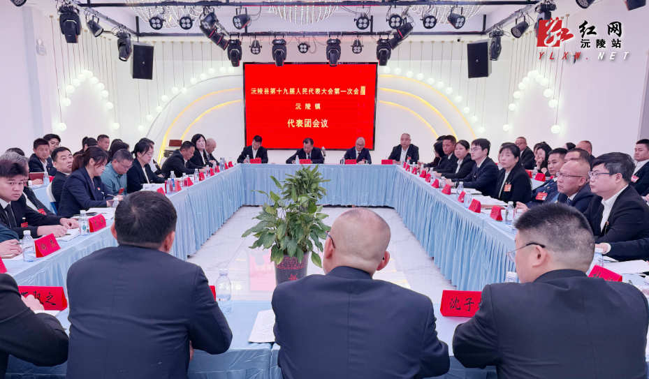 【两会特别报道】共商发展大计 凝聚奋进合力：刘向阳参加沅陵镇代表团及政协第二次联组讨论
