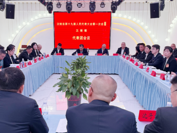 【两会特别报道】共商发展大计 凝聚奋进合力：刘向阳参加沅陵镇代表团及政协第二次联组讨论