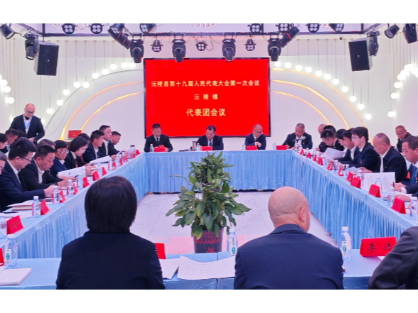 【两会特别报道】刘向阳 陈星参加沅陵县十九届人大一次会议各代表团分组讨论 共商高质量发展大计