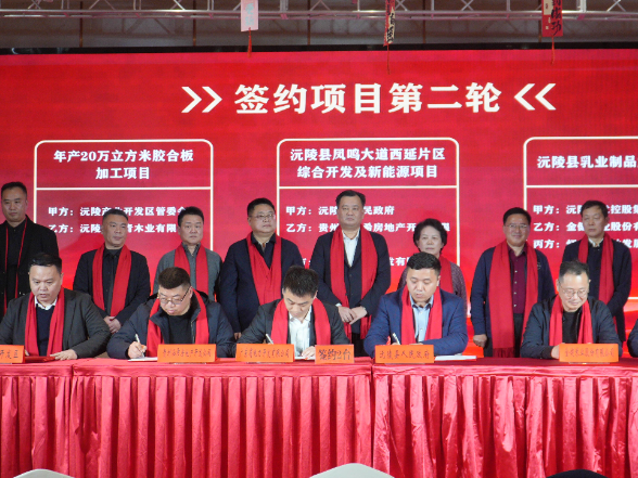 “春风驰骏马 辰州启新程”沅陵县 2026年迎新春团拜会召开