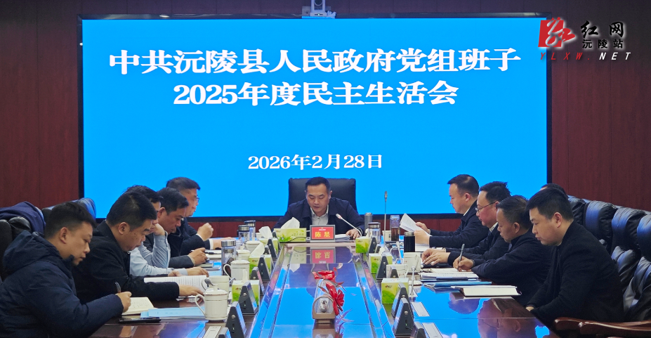 县政府党组班子召开2025年度民主生活会