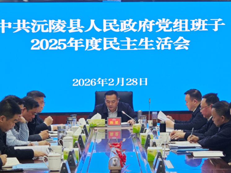 县政府党组班子召开2025年度民主生活会