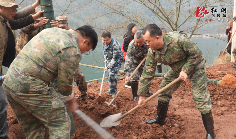 刘向阳等县领导参加全民义务植树活动