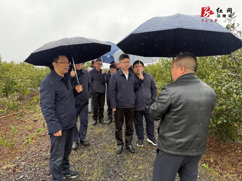 贺遵庆在沅陵调研时强调：  以正确政绩观抓产业推项目守底线  全力以赴实现“开门红”“开门稳”