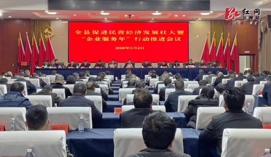 全县促进民营经济发展壮大暨 “企业服务年”行动推进会召开