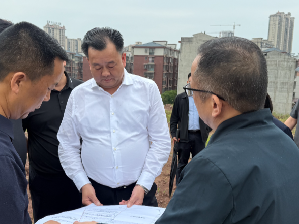 刘向阳调研督导群众身边不正之风和腐败问题集中整治工作