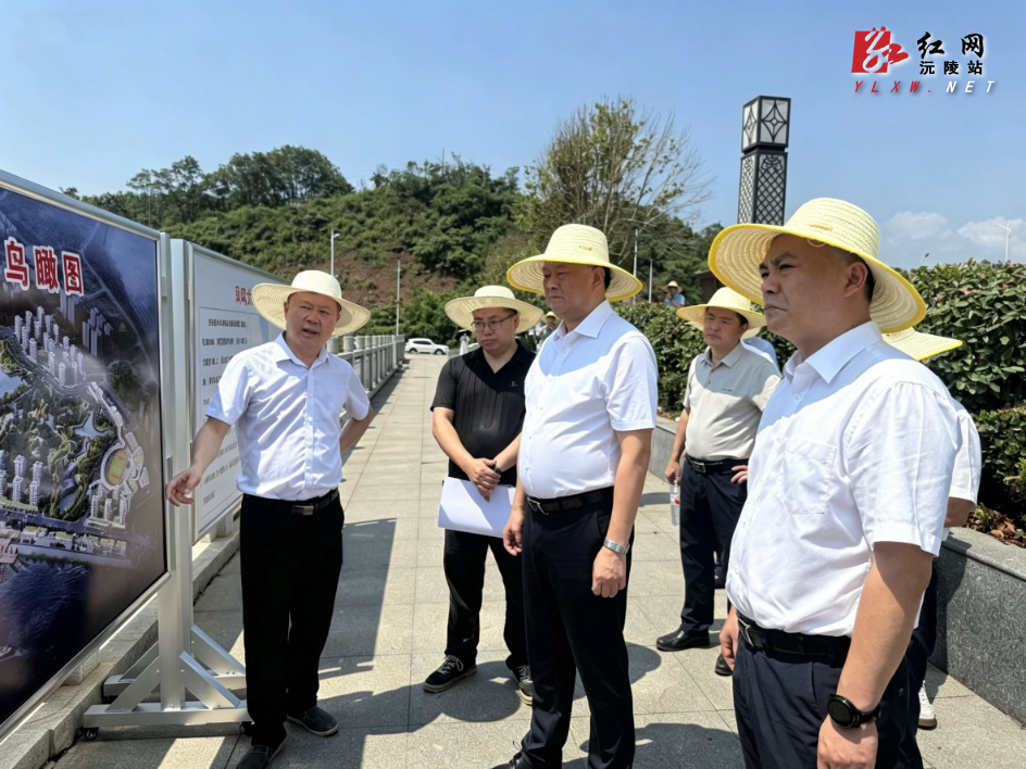 刘向阳调研凤鸣大道西延段项目建设时强调： 以“钉钉子”精神抓进度 保质量 确保项目早日建成投用
