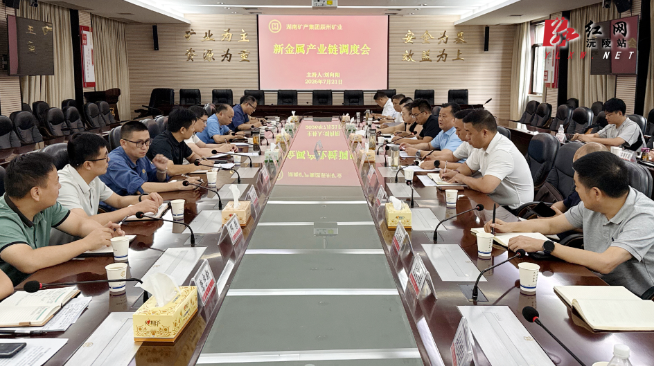 聚力延链强链 攻坚提质增效：刘向阳主持召开新金属产业链工作调度会