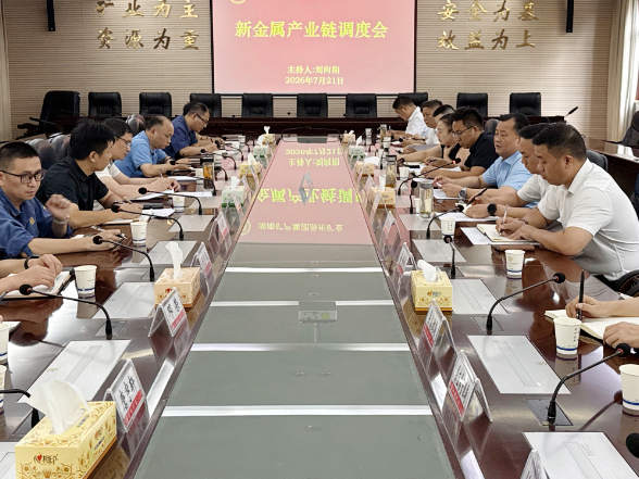 聚力延链强链 攻坚提质增效：刘向阳主持召开新金属产业链工作调度会