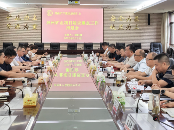 刘向阳主持召开辰州矿业重点工作推进会 聚焦项目攻坚 夯实产业发展根基