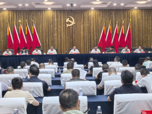 全县推进常态化帮扶持续巩固拓展脱贫攻坚成果工作会议暨乡村振兴8月份例会召开