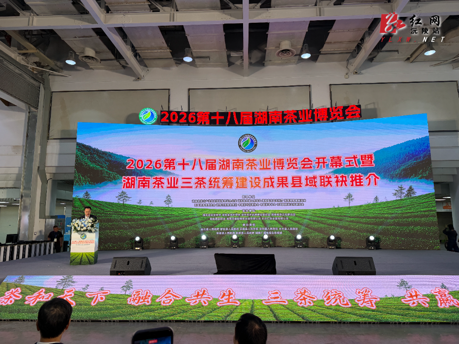 千年贡茶遇见新潮饮： 碣滩茶“一叶两喝”创新模式亮相2026湖南茶博会