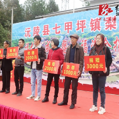 沅陵县七甲坪镇梨树村成立“幸福协会”  