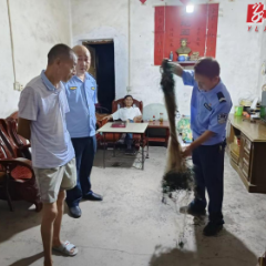 沅陵县大合坪乡：加大监管力度  严查违规捕捞行为
