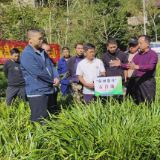 沅陵:传送种植技术 助力药农增收