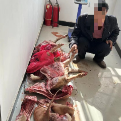 沅陵警方成功打掉一盗猎犯罪团伙