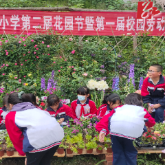 溪子口小学开展第二届花园节暨劳动集市活动
