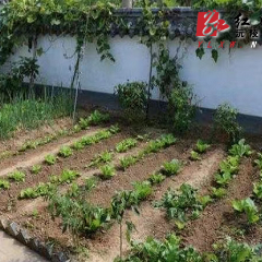 七甲坪镇：“美家美妇”助推美丽宜居建设