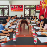 怀化市自然资源和规划局调研指导大合坪乡双溪村美丽村寨建设