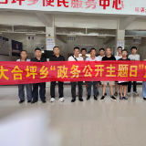 大合坪乡组织开展“政务公开主题日”活动