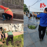 【旅发大会进行时】战高温 斗酷暑 城市管理工作不懈怠