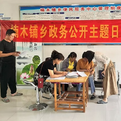 楠木铺乡开展“政务公开主题日”活动
