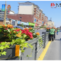 【旅发大会进行时】县城市园林绿化服务中心：以“翠绿花香”迎宾  献礼旅游发展大会