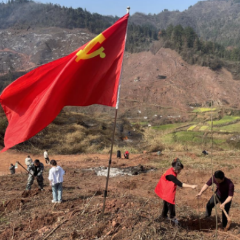 沅陵县马底驿乡：植树节全民行动，共绘绿色人居环境新篇章