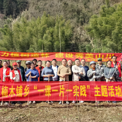 沅陵楠木铺乡：“五边种植”美乡村，“黄柏绿化”壮产业