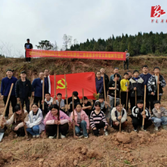 沅陵县二酉中学：为家园添一抹绿