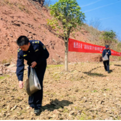 沅陵县城市园林绿化服务中心：“植”此新绿  静待花开