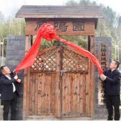沅陵县凤鸣学校“三力”实践项目劳动教育基地“开园”