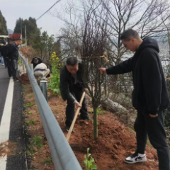 沅陵交通：携手属地乡镇 打造最美农村路