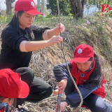 凉水井小学：党队携手齐发力 团结同心添新绿